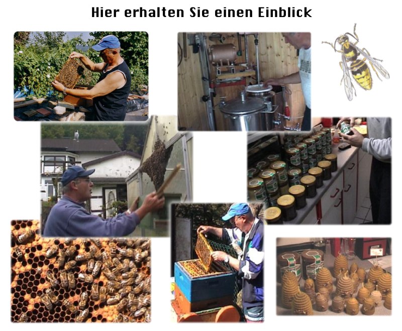 Hier sehen Sie einige Fotos von der Imkerei